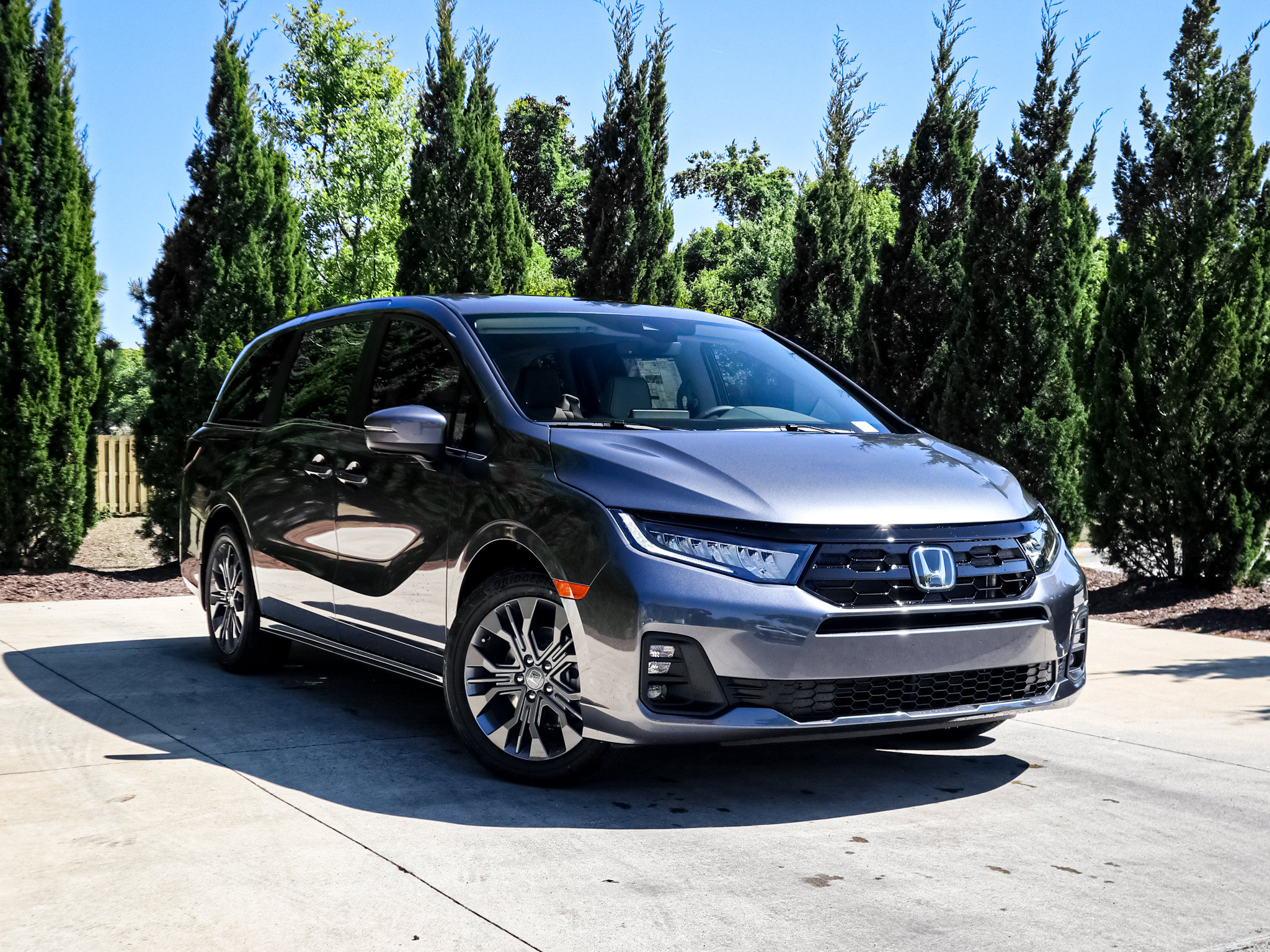 Road Trips and Dog Parks: Is the Honda Odyssey a Good Fit for Traveling With Dogs?